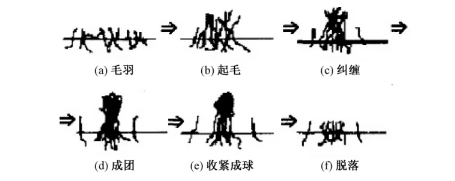 纺纱方法对山羊绒针织物起毛起球性能的影响